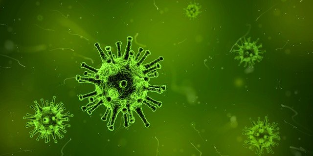 clean the virus and get fresh breath inspite of tonsil stones